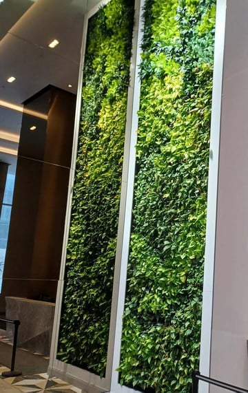 Indoor green wall