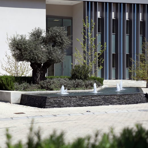 Algorithm Campus