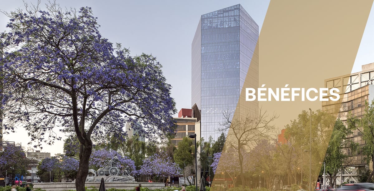 Bénéfices