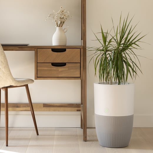 Bloom – Purificateur d’air