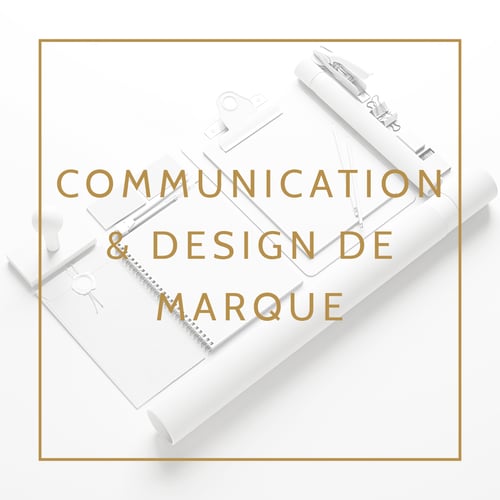 Disciplines_Couverture_FR_Communication_BI1