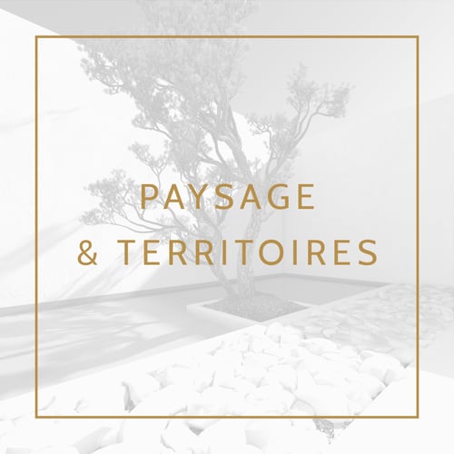 Disciplines_Couverture_FR_LandscapeTerritories_BI1
