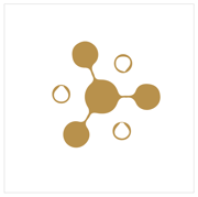Icon: FORM