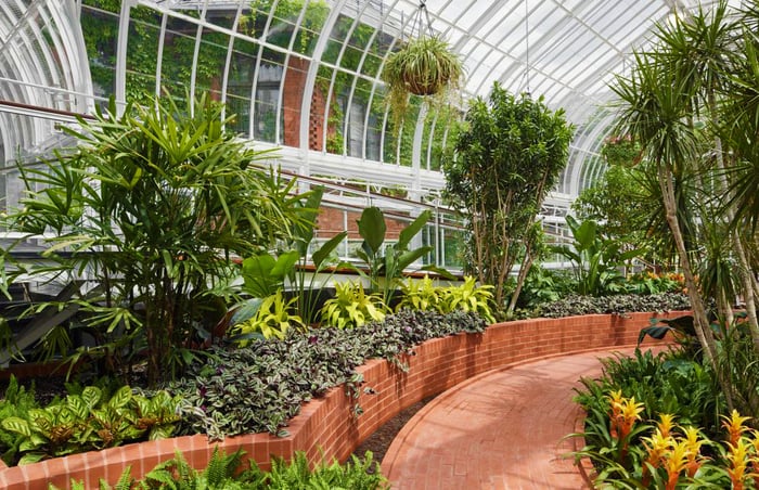 Greenhouse