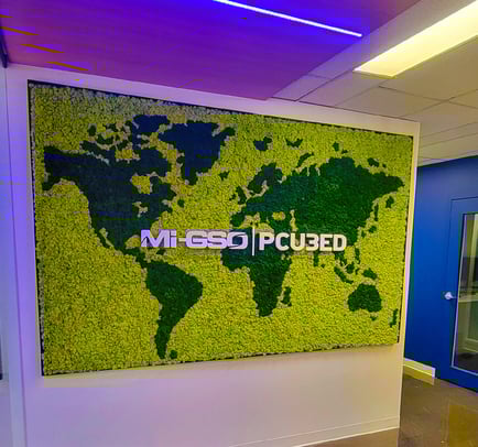 Preserved moss wall