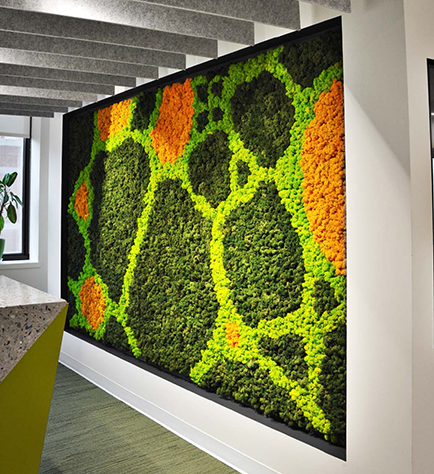 Preserved moss wall