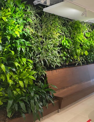 Indoor green wall