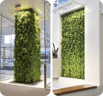Indoor green wall